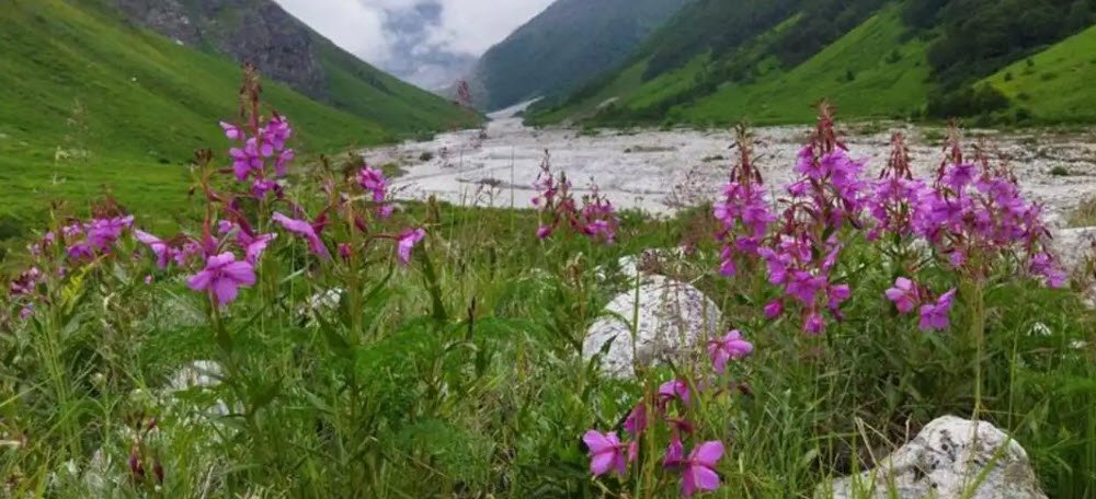 Tipra Glacier, Chamoli, Uttarakhand - Vushii.com Tipra Glacier, Chamoli, Uttarakhand - Vushii.com
